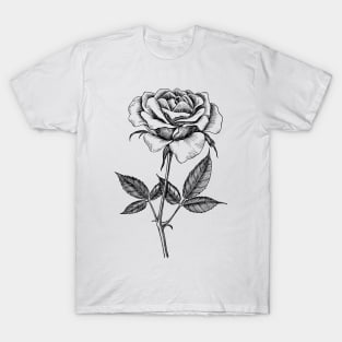 Rose drawing T-Shirt